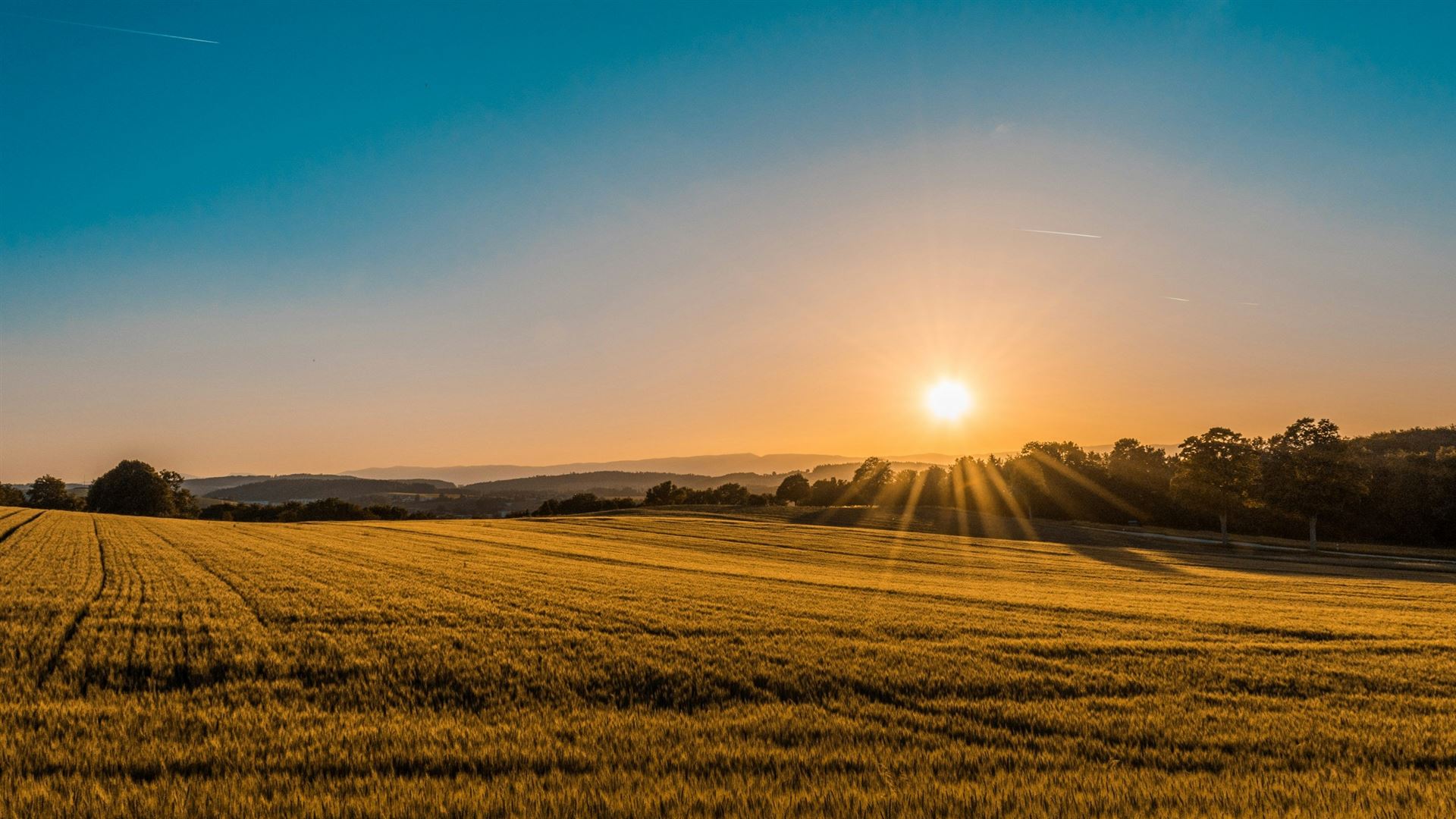 Sun setting on a field